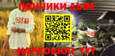 МДПВ Краснознаменск