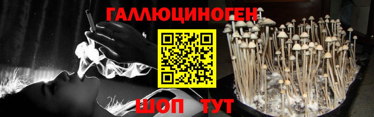 Казань  Псилоцибиновые грибы прущие грибы  Вход с VPN 